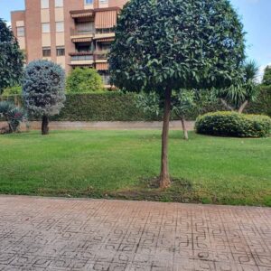 limpieza en córdoba - mantenimiento de jardines