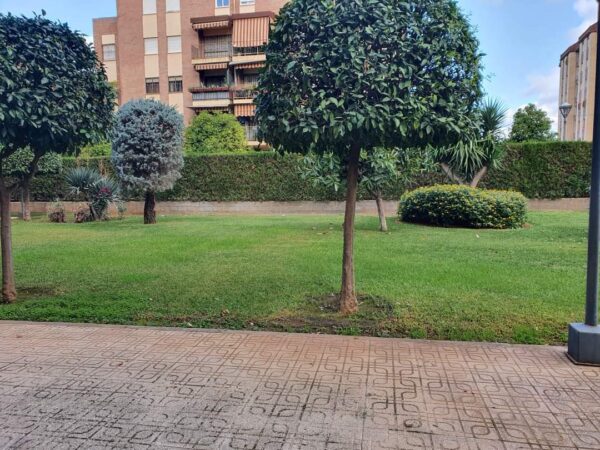 limpieza en córdoba - mantenimiento de jardines