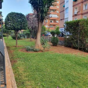 Tratamiento plantas