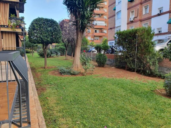 Tratamiento plantas